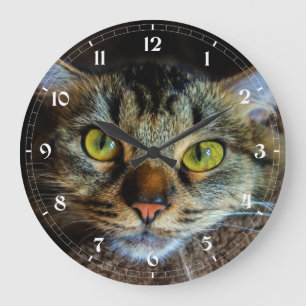 Create Your Own Cat Photo - Fluffy Tabby Cat Large Clock
