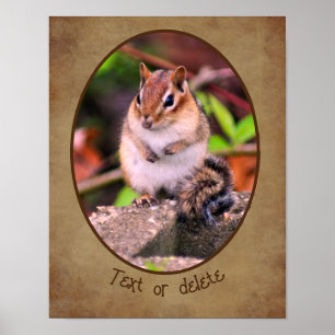 Create Your Own Chipmunk Wildlife Personalised    Poster