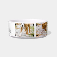 Create Your Own Custom Image & Text Dog Food Bowl