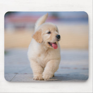 Create your own custom pet mouse mat