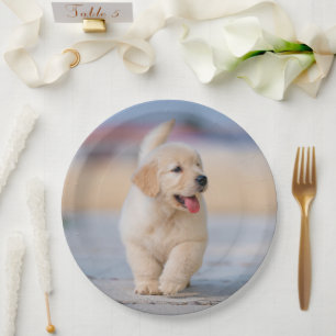 Create your own custom pet paper plate