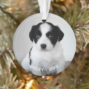 Create Your Own Custom Pet Photo Name and Year Ornament