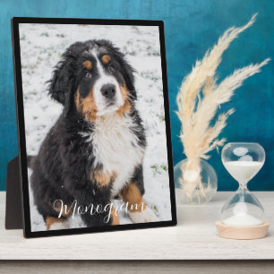 Create Your Own Custom Pet Photo Plaque