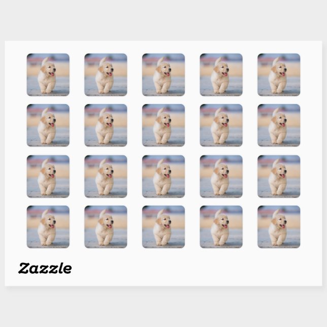 Create your own custom pet square sticker (Sheet)