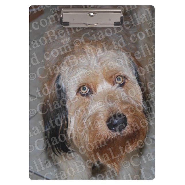 Create Your Own Custom Photo Clipboard (Front)