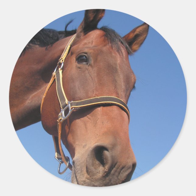 Create Your Own Custom Photo Gift Classic Round Sticker (Front)