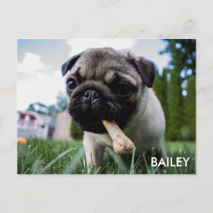 Create Your Own Custom Photo Postcard