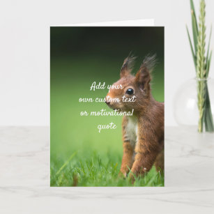 Create Your Own Custom Quote - Squirrel Card