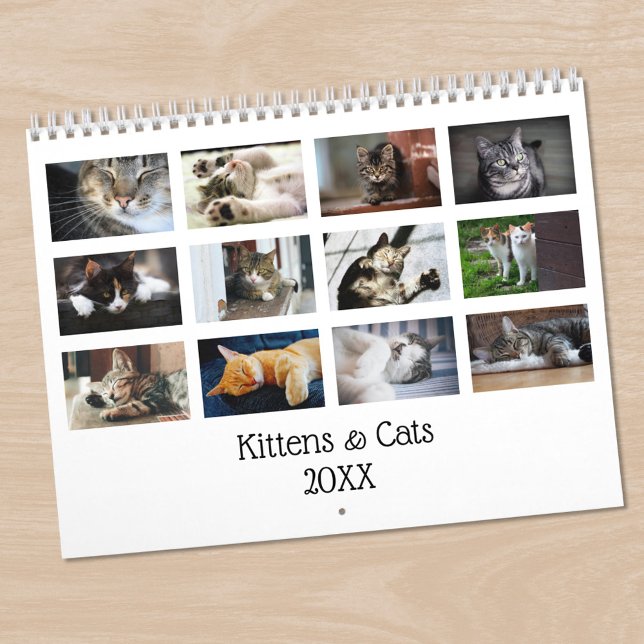 Create Your Own Cute Cats Kittens Pet Photo Calendar (Create Your Own Cute Cats Kittens 2025 Pet Photo Calendar, in situ)