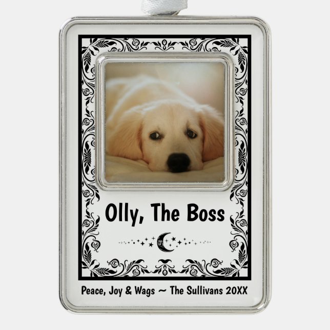 Create Your Own Dog Lover Tarot Funny Keepsake Mum Silver Plated Framed Ornament (Front)