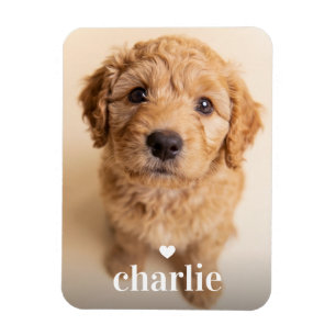 Create Your Own Dog Name Full Frame Photo Magnet