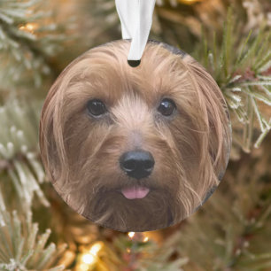 Create Your Own Dog Photo Custom Pet Puppy Ornament