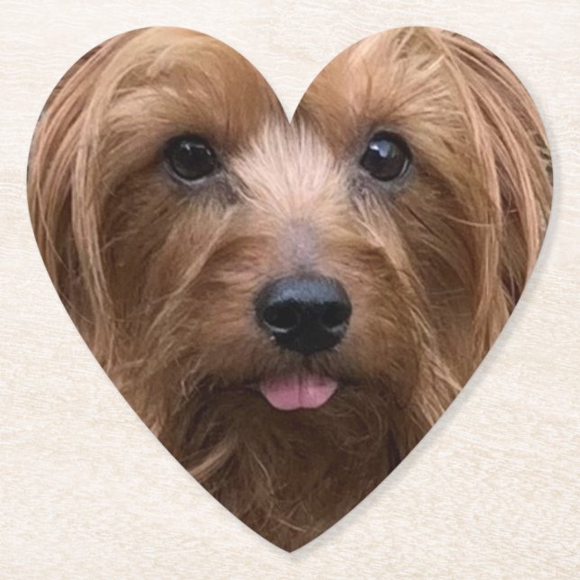 Create Your Own Dog Photo Custom Pet Puppy Paper Coaster (Front)