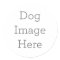Create Your Own Dog Sticker Gift