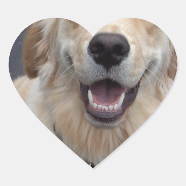 Create your own expressions!  Easy to use tools! Heart Sticker (Front)