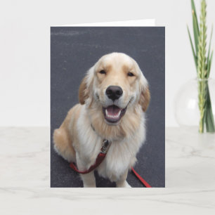 Create your own expressions!  Easy to use tools! Holiday Card