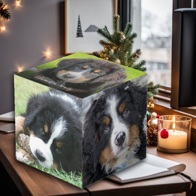 Create your own family pet photo collage monogram cube (Create your own family pet photo collage monogram cube. Nice gift for Christmas.)