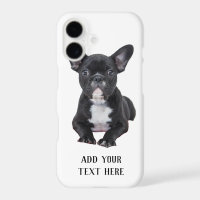 Create Your Own French Bulldog