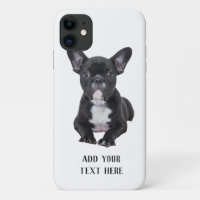 Create Your Own French Bulldog