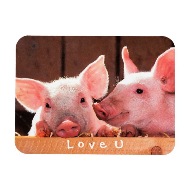 Create Your Own Funny Photo Love You Custom Magnet (Horizontal)