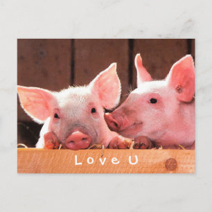Create Your Own Funny Photo Love You Custom Postcard