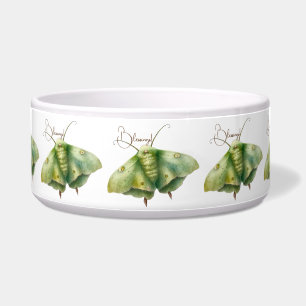 Create Your Own Green Fantasy Moth