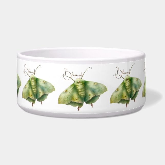 Create Your Own Green Fantasy Moth (Front)