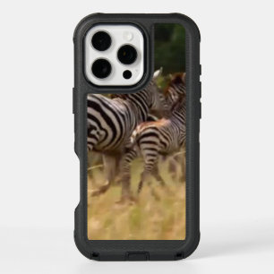 Create Your Own Kenya African Zebra Maasai Mara
