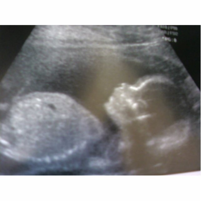 Create your own magnet, keychains & more! standing photo sculpture (Front)