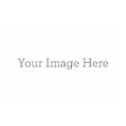 Create Your Own Matte Value Paper Poster