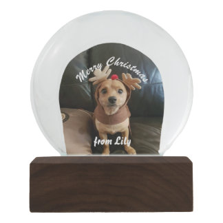 Create your own Merry Christmas snow globe