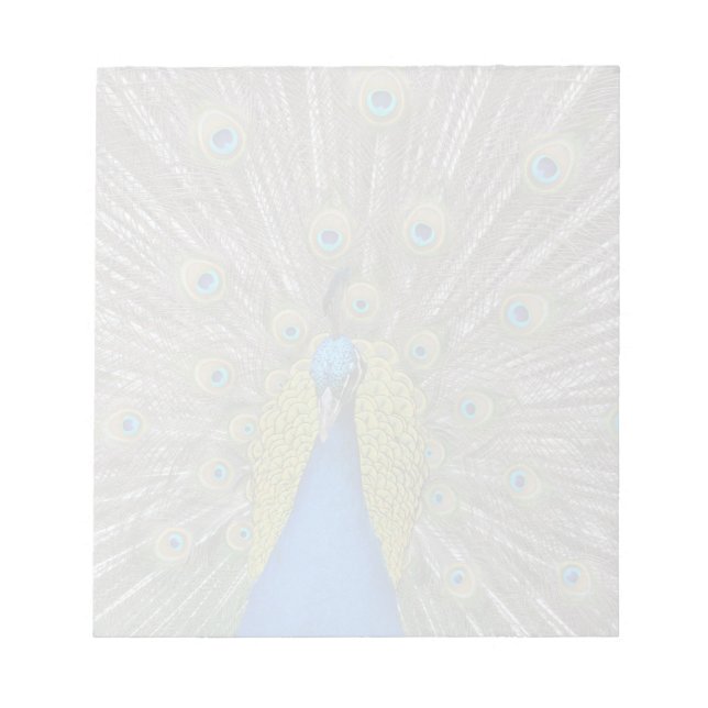 Create Your Own  Notepad (Front)