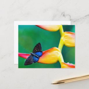 Create Your Own Personalised Custom Photo Template Postcard
