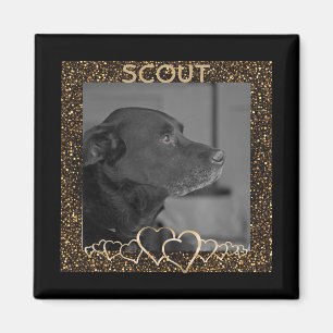 Create Your Own   Personalised Pet Photo Keepsake Magnet