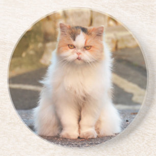 Create Your Own Pet Cat Personalised Photo  Coaster