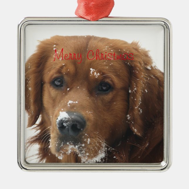 Create Your Own Pet Christmas Ornament (Front)