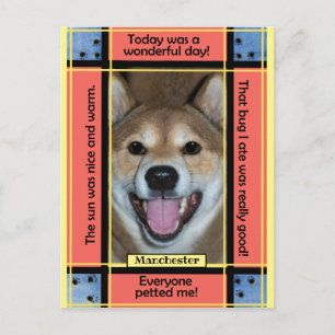 Create Your Own Pet Dog Cat Photo Funny Text Postcard