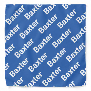 Create Your Own Pet Dog Personalised Name Bandanna
