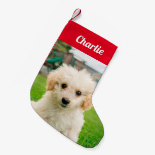 Create Your Own Pet Dog  Photo  Small Christmas Stocking