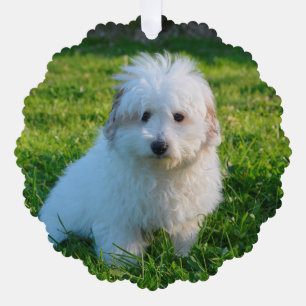 Create Your Own Pet dog Photo Tree Decoration Card