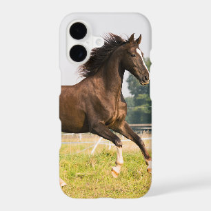 Create Your Own Pet Horse Photo Custom Picture