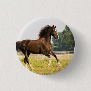 Create Your Own Pet Horse Photo Custom Picture 3 Cm Round Badge