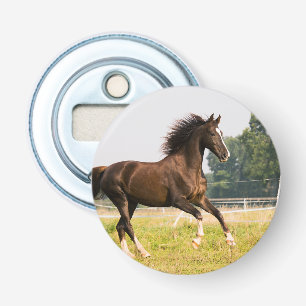 Create Your Own Pet Horse Photo Custom Picture Bottle Opener