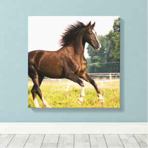 Create Your Own Pet Horse Photo Custom Picture Canvas Print