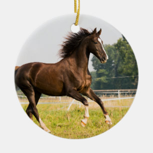 Create Your Own Pet Horse Photo Custom Picture Ceramic Tree Decoration