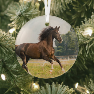 Create Your Own Pet Horse Photo Custom Picture Glass Tree Decoration