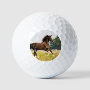 Create Your Own Pet Horse Photo Custom Picture Golf Balls