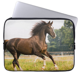 Create Your Own Pet Horse Photo Custom Picture Laptop Sleeve