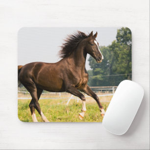 Create Your Own Pet Horse Photo Custom Picture Mouse Mat