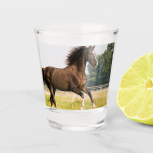 Create Your Own Pet Horse Photo Custom Picture Shot Glass